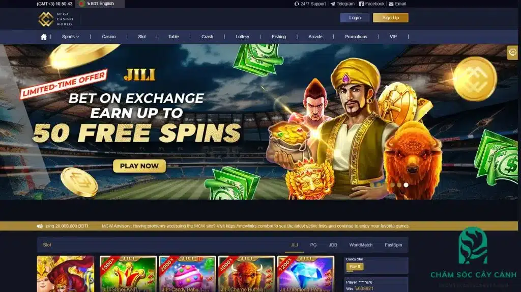 Discover Exciting MCW Game Modes