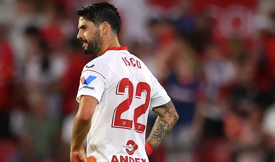 The Arrival: A Summer of High Hopes